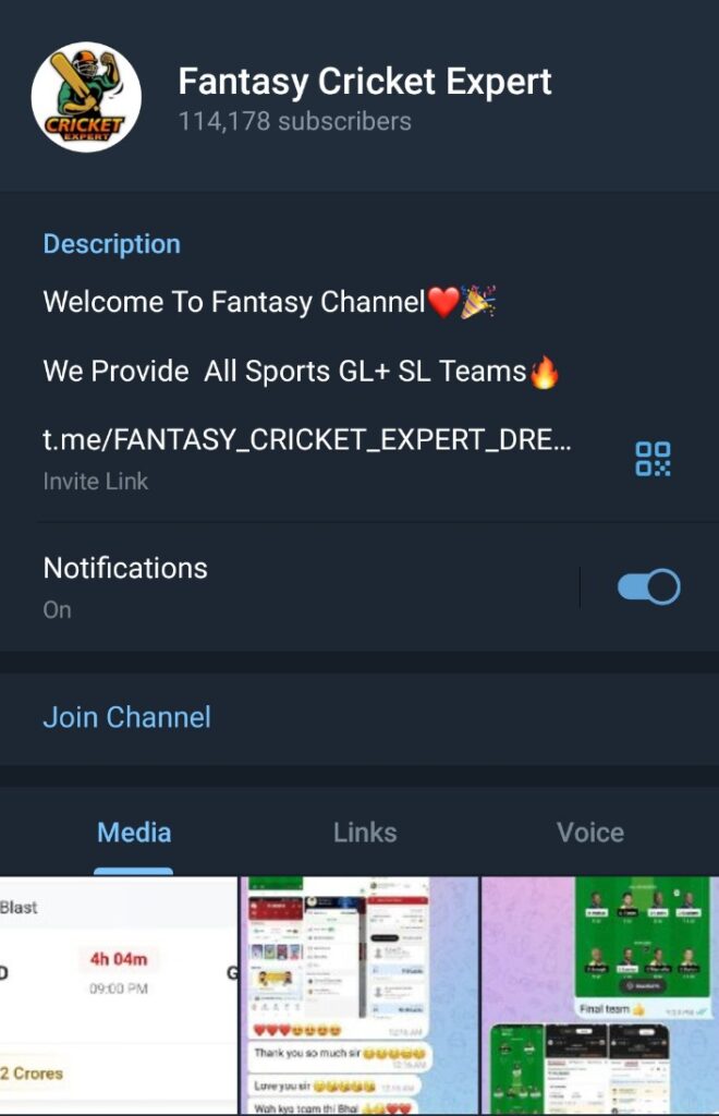 Fantasy Cricket Expert Telegram Channel