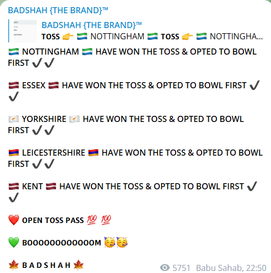 Badshah Cricket telegram channel