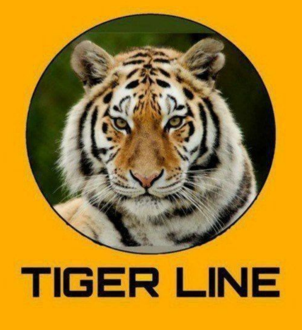 Tiger Line Telegram channel